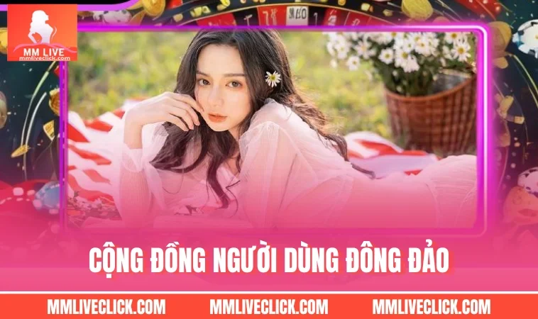Cộng đồng người dùng đông đảo