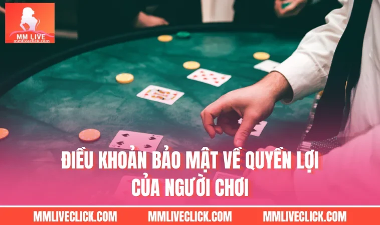 Điều khoản bảo mật về quyền lợi của người chơi